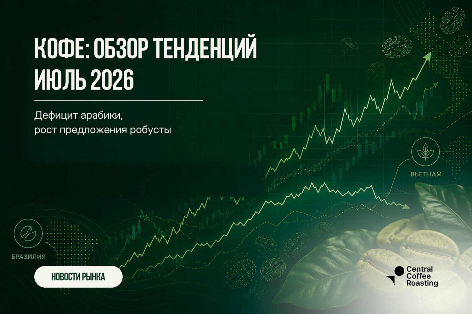 Рынок кофе в июле 2026: арабика и робуста | Green Coffee Hub